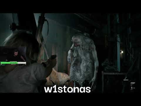 Lietuvos streameriai #734 (AustejaSubm,w1stonas,kerrakatt...........)