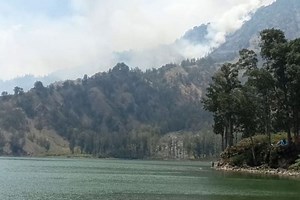 Luas Hutan di Papua Barat Turun Menjadi 6,3 Juta Hektare