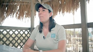 21 reactions · 12 shares | Sea turtle nesting season is here. It's...