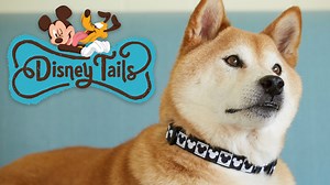 Disney Expands Their Popular Pet Collection "Disney Tails" at Disney Parks | Chip and Company