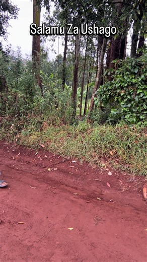 Salamu za Ushago: Mazishi ya Kicheko na Huruma