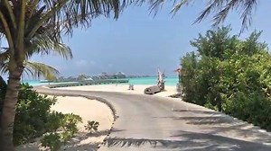 7.4K views · 149 reactions | The beautiful on Reels | Facebook