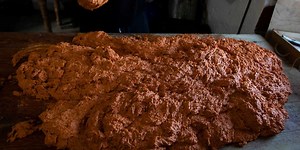 Conmoción por autorización de venta de carne artificial de pollo