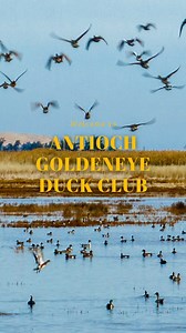 The Antioch Goldeneye Duck Club is a historic west-side duck club in the Suisun Marsh.🦆🔫 The property is conveniently located and sits off the 680 corridor, approximately 20 minutes from the East Bay and Fairfield and 40 minutes from Marin County and San Francisco. The Antioch Club offers two homes and improvements; both are in excellent condition. The main residence/clubhouse is approximately 4,500 sqft /- and comprises 7 bedrooms and 5 baths. Each bedroom is generous, and the kitchen is full
