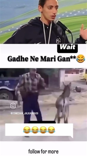 #😱Mr donkey 🤣#