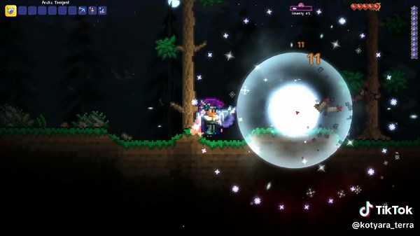 Arctic Tempest | Fractures of Penumbra MOD | Magic#fractures #of #penumbra #fracturesofpenumbra #tmodloader #terraria #мод #mod #террария