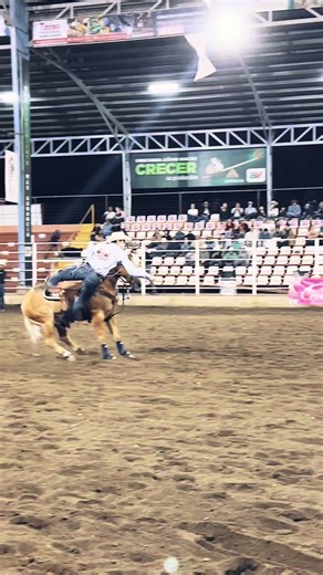 Cristal Cat: A Rodeo Adventure and Musical Vibes