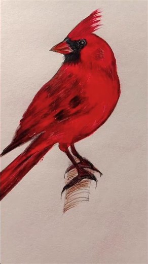 how to draw a beautiful Bulbul Bird drawing 💖💖 #viral #shorts