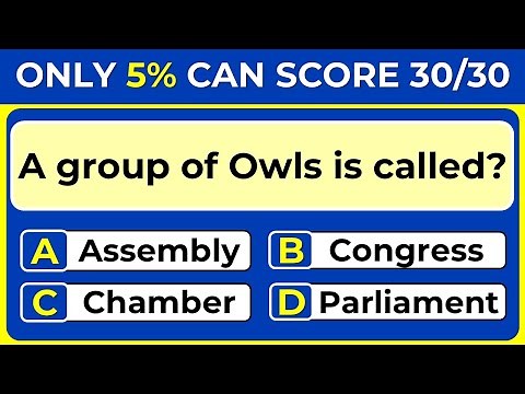 Ultimate Vocabulary Quiz: Can you Score 100%?
