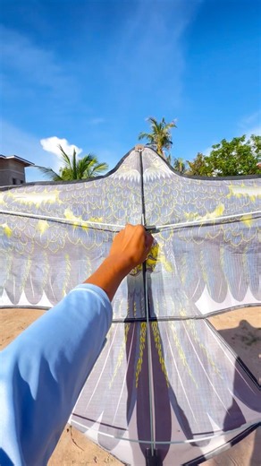 How to fly the kite 🪁 #howtoflykite #kiteflying #kitefestival #kitefighting #subscribe #shortvideo