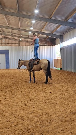 Who needs a quiet, gentle, super safe Buckskin gelding? He'll be available in a few weeks!!! 🙌 Be sure you visit our website and subscribe, so you are alerted when he gets posted! www.precisionhorsetrainingllc.com Cell: 916-712-3697 Email: precisiontrainin@yahoo.com | Precision Training, LLC