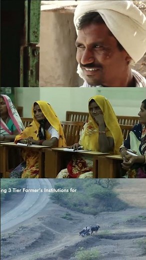 Your story deserves cinematic treatment. Your ROI demands it.