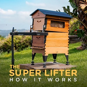 Our newest invention makes beekeeping quicker and easier than ever | Flow Hive
