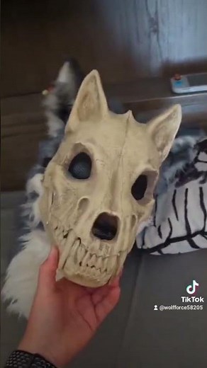 Spirit Halloween Store Skull Mask + Fursuit Head