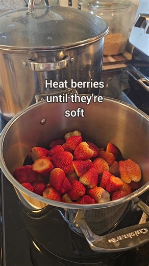 Strawberry Limeade Concentrate is delicious and easy to make! #canningforbeginners #learntocan #canningandpreserving #strawberrylemonade #drinkrecipe | Wild Haven Farm