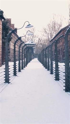 Secure your tickets today to experience one of the most powerful exhibitions ever presented. | Cincinnati Museum Center