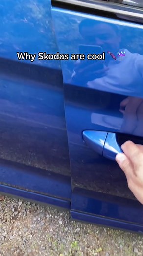 Creative Skoda Door Protectors and Umbrella Setup for Kids