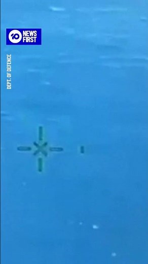 Disney Cruise Rescues Sinking Sailors | 10 News First