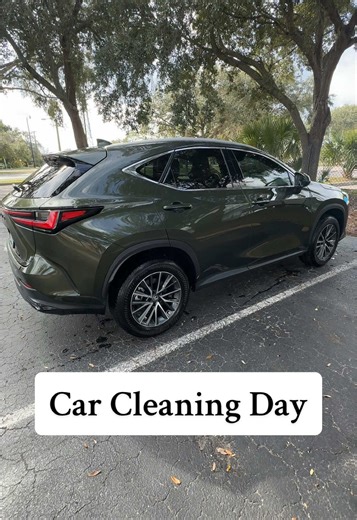 Car Cleaning Journey with My Lexus