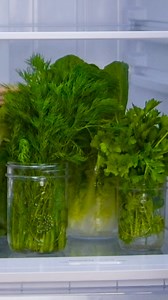 Unlock the secret to herb longevity! 🌿 Keep your kitchen stocked with fresh herbs thanks to these simple preservation tips 💚 | Blossom