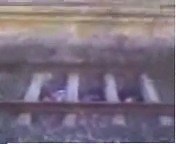 8K views · 84 reactions | Probably one of the first Irish viral videos on Youtube. Hon Mikey boy!! Link - https://www.youtube.com/watch?v=ay4H6VAEtfs | As Irish as it gets | Facebook