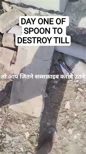 day 1 of spoon to destroy tile