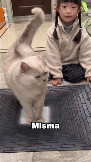 The illusion of the floor that fooled the girl... and the cat! 😱 #shortvideo
