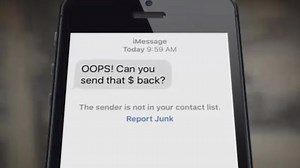 BBB warns of 'accidental' Venmo deposits where a scammer sends you money and then asks for it back