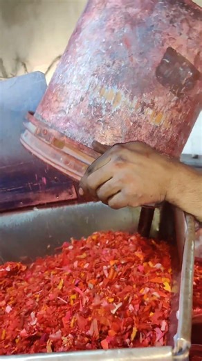 “America’s Plastic Scrap Revolution 🇺🇸♻️ | Turning Waste Into High-Value Recycled Granules”