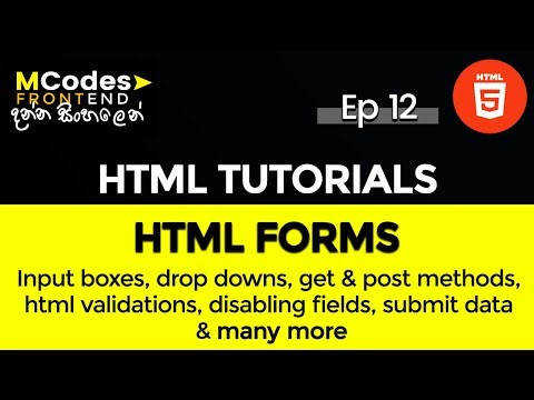 HTML Forms Crash Course: from Zero to Hero Step by Step Guide (in Sinhala)