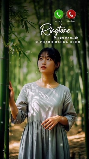 Chinese Traditional Instrumental Ringtone | New Relaxing Music #shorts #ringtone #chineseculture