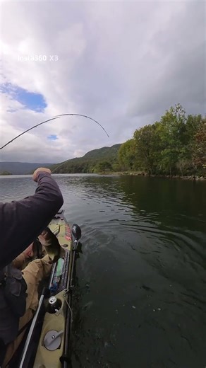 Intune buzz-bait at work #dobynsrods #buzzbait #hobiekayak #bassfishing