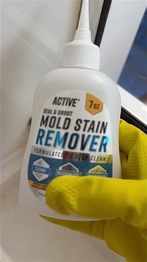 Shocked by the Results! 🧼 Active Mold Stain Remover Review