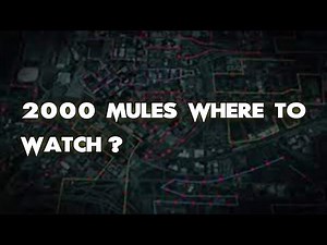 2000 Mules Where To Watch? ALL WAYS to DO IT!!