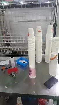 Fully Automatic Paper Cup Packing Machine