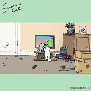 483K views · 10K reactions | Partners in crime... | Simon's Cat | Facebook