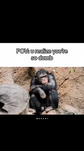 Realization Meme - Why Am I So Stupid?