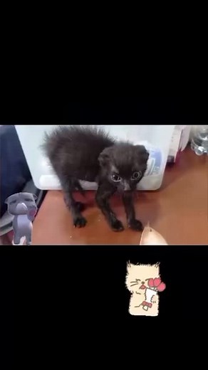 51K views · 2.1K reactions | Statement Marine on Reels | Facebook