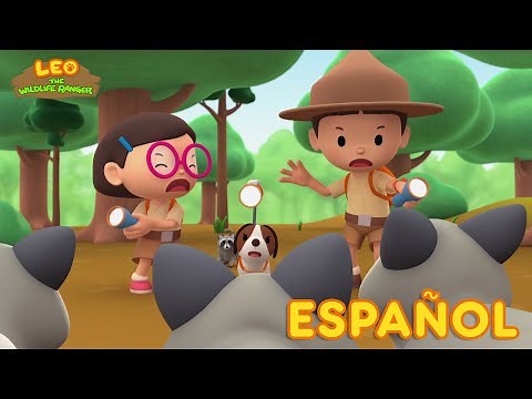 El Mapache (Español) - Leo, El Explorador Episodio | Animación - Familia - Niños