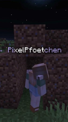 POV: 3 verschiedene MC Spieler*innen in der Nacht 🌌 #minecraft