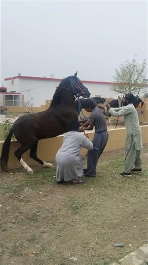 Satisfying Steel Cutting 🔥 | Powerful Metal Work #Shorts