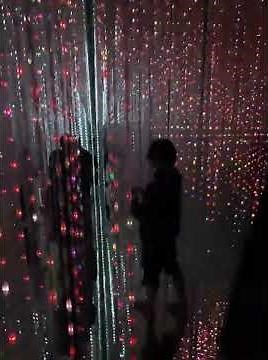 El mejor museo del mundo se encuentra en Tokio Japon. TeamLab Planets