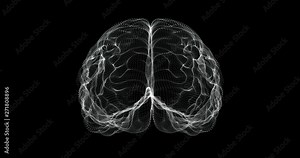 Hologram representation screen 3d of brain in the human body - loop Stock Video