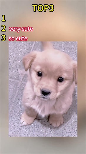 #top5 #illustration#art #digitalart#procreate#tattoo