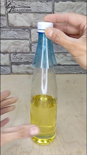 Mẹo và Cuộc sống P-270 #reels #tips #tutorial | Tin 24 Giờ