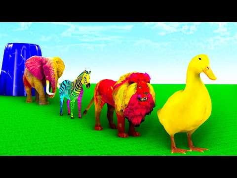🐘 Elephant Walk Activity & 3D Long Slide Game