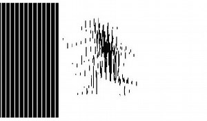 Barrier-Grid (or Picket-Fence) Animation | Illusion demos with animations# | Optical Illusions