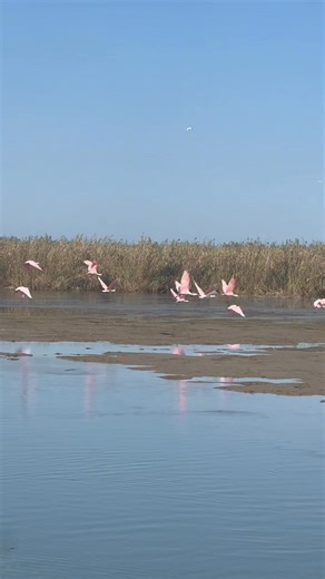 Erin Roach Strain on Reels