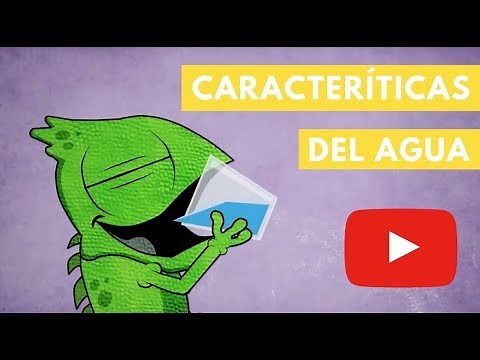 Características del agua | Camaleón