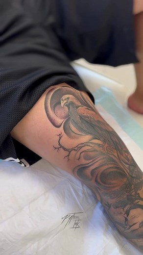 Python Ink Tattoos on TikTok